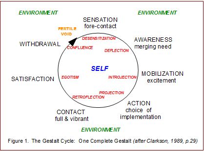 The Cycle of Experience described below